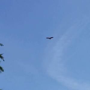 Meet your Posher, Aj